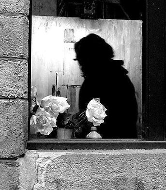 Photo choisie par l'auteur